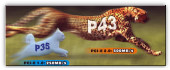 P43 vs P35