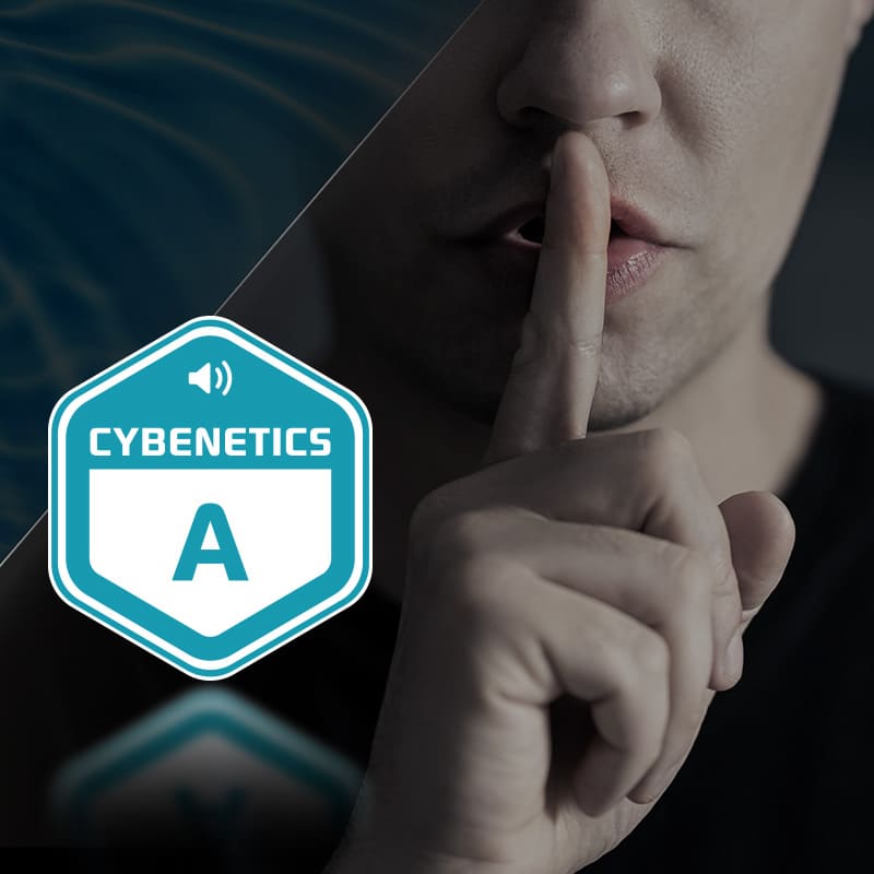 PSU CYBENETICS A (SL)