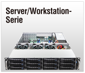 Server/WS