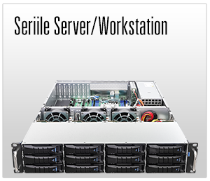 Server/WS