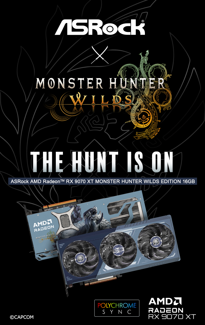 Radeon™ RX 9070 XT Monster Hunter Wilds Edition 16GB