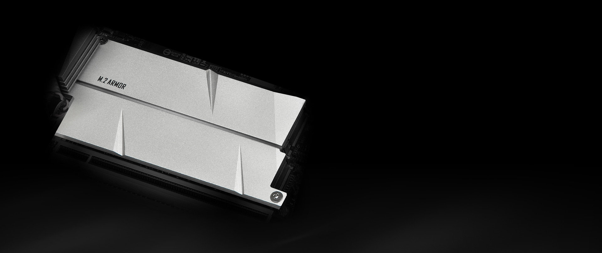 M.2 x 2 ( 2280+Coverage PCIe Gen3 x4 & SATA3 )